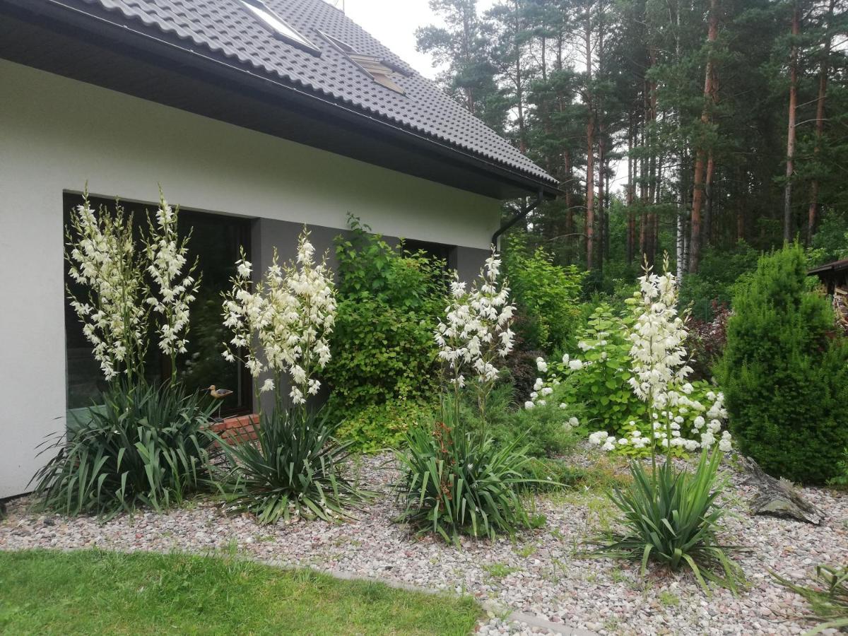 Cudodomek Spa W Mrozach Wielkich Kolo Elku Ełk Exterior foto