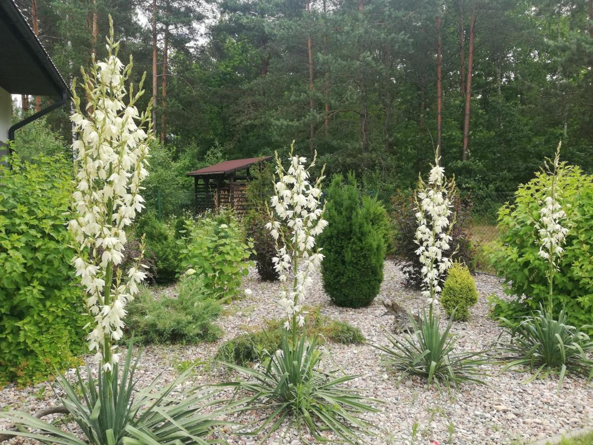 Cudodomek Spa W Mrozach Wielkich Kolo Elku Ełk Exterior foto